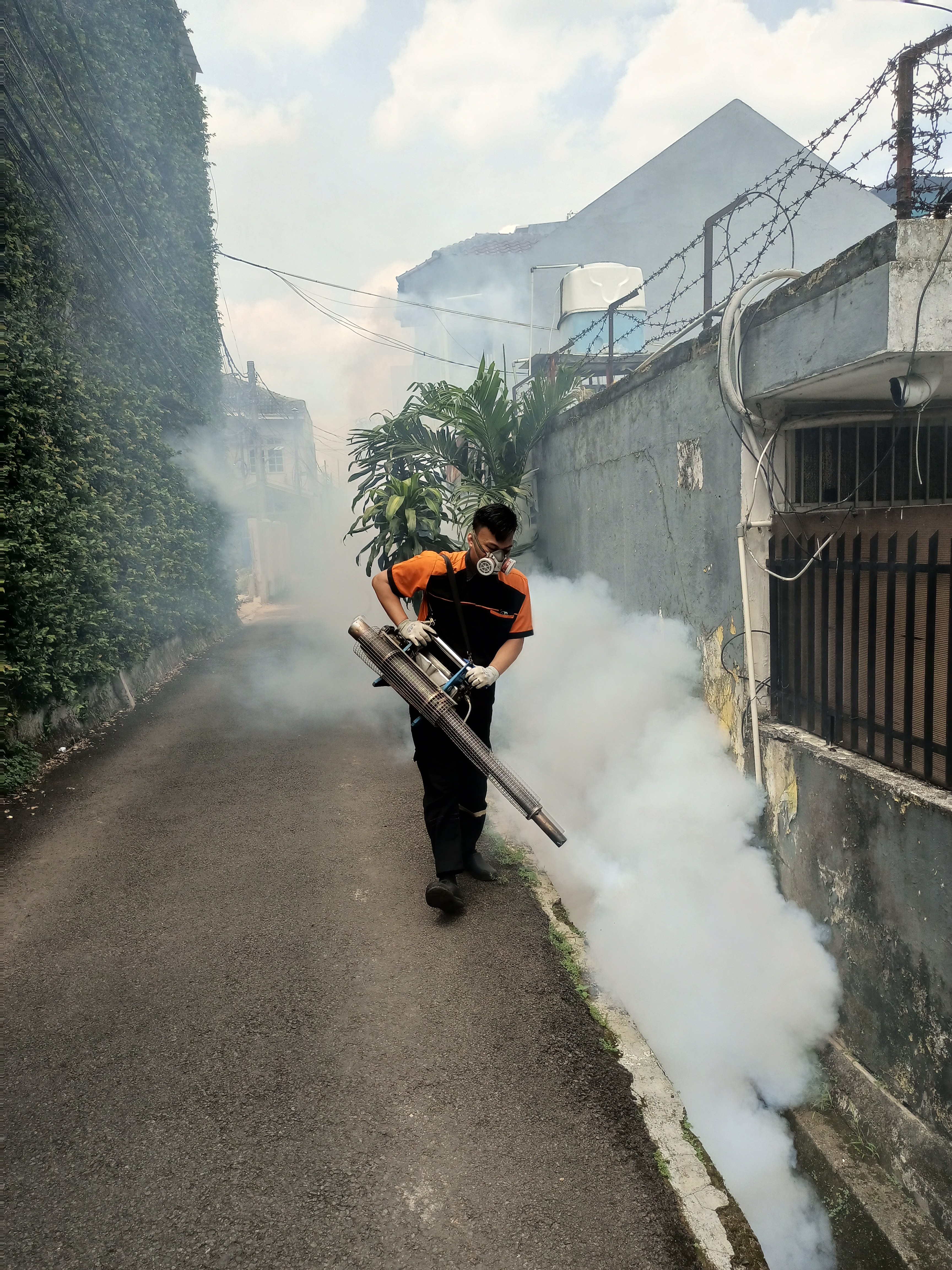 Fogging Nyamuk